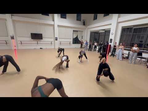 Flicking Your Switch Audition