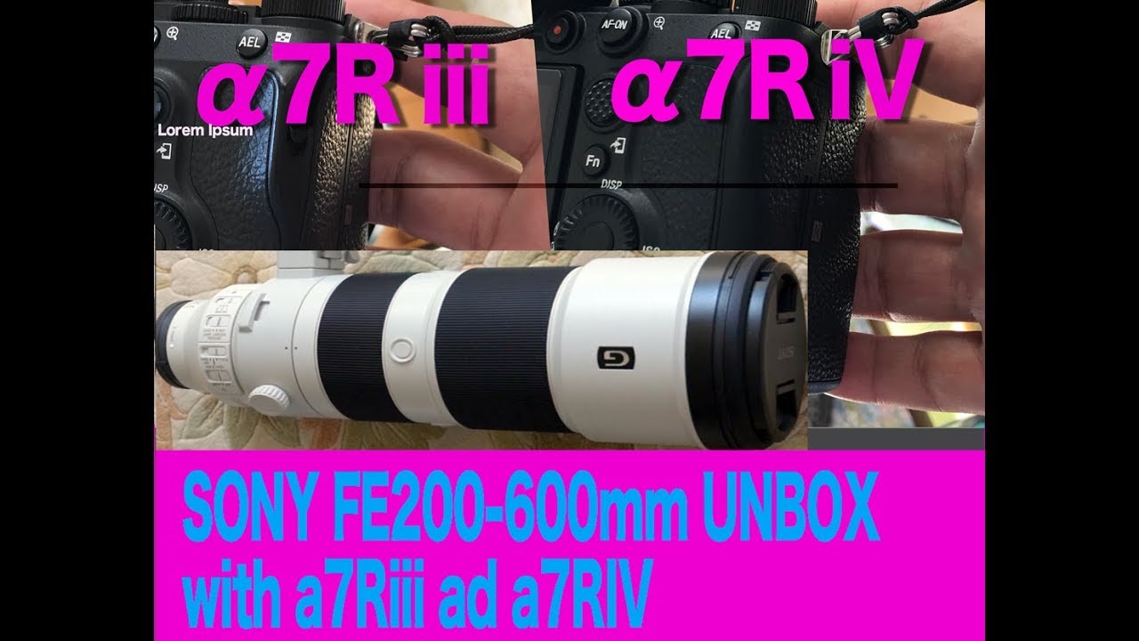 α7RIV: FE200-600mm_F5.6-6.3_Gの導入とa7R4のグリップの小指 