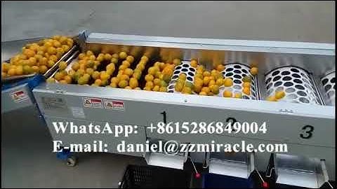 Fruit & Vegetable Grading Machine, Fruit Sorting Machine