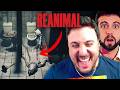 PRIMERA VEZ y EXPLOTAMOS en REANIMAL #1 thumbnail