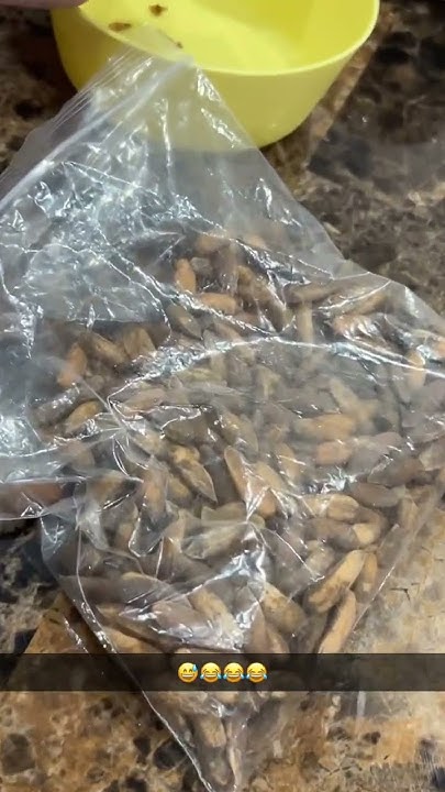 most-expensive-dry-fruit-chilghoza-pine-nuts-dryfruits-chilghoza