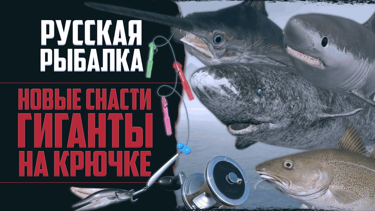 Новый Путь в РР4 #16 🔴 Морские Гиганты | Трофейный Карпфишинг | Новые Снасти | Навыки на 100%