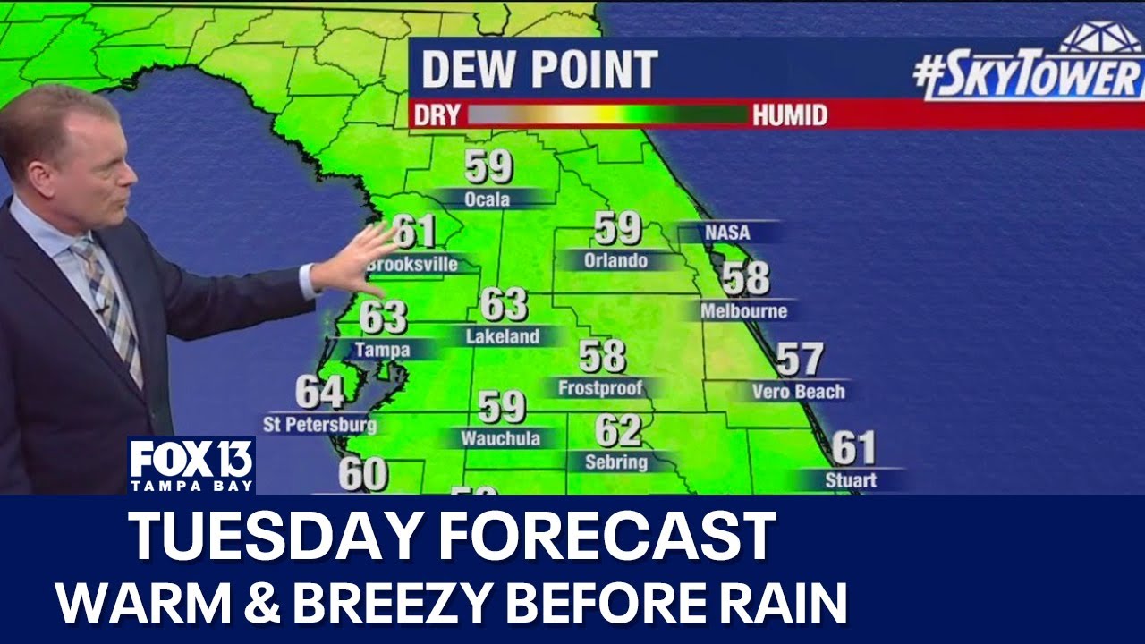 Tampa weather | Breezy & warm ahead of cold front - YouTube
