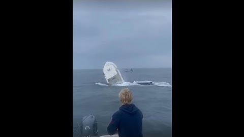 Two people rescued after breaching whale capsizes boat off New Hampshire coast