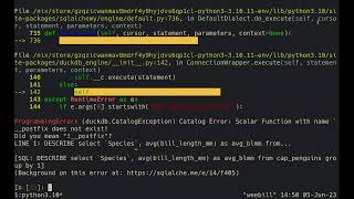 DuckDB, Snowflake and MySQL: Run any SQL dialect with any query engine using Ibis