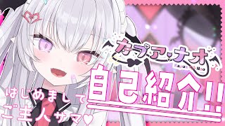 「【新人Vtuber】メスガキサキュバスの自己紹介♥【 #あんくれぇと / ＃カプアナオ 】」のサムネイル