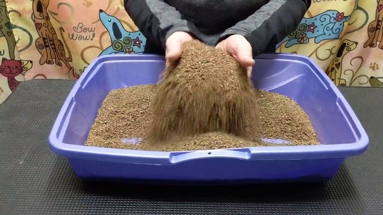 cat litter made from walnut shells