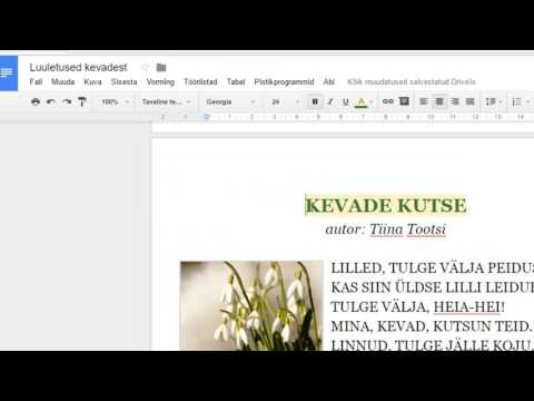 Google Drive Dokument (tiitelleht, leheküljenumbrid, sisukord)