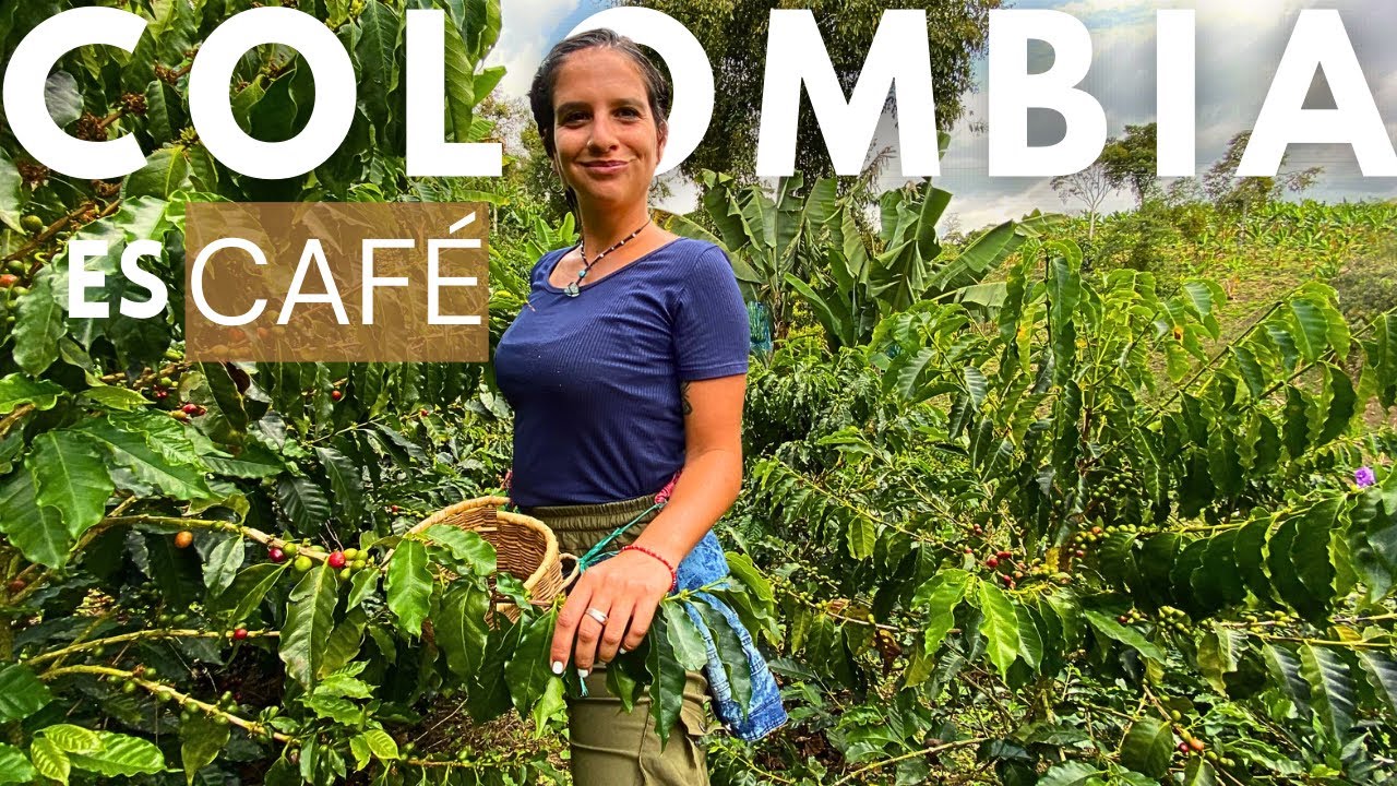 ARGENTINOS PRUEBAN EL MEJOR CAFÉ DEL MUNDO [FINCA CAMPEONA]