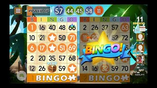 Bingo Blaze screenshot 1