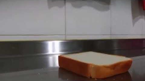 Piece of bread standing up