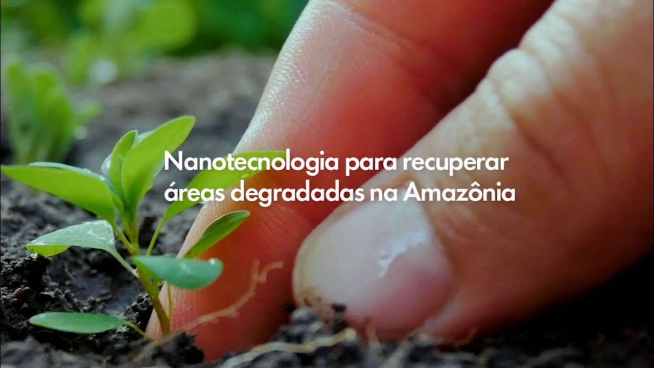 Amazônia nanotecnológica – Instituto de Pesquisas Tecnológicas