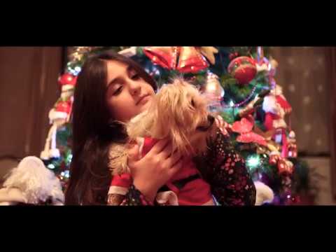 მიქს შოპის საახალწლო რეკლამა