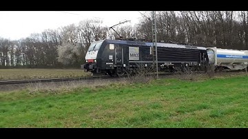 Siemens ES 64 F4 "189 208-2" MRCE Dispolok "208" • ecco-rail GmbH • KLV • multimodal train