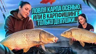 ЛОВЛЯ КАРПА ОСЕНЬЮ! РЫБАЛКА НА КАРПА.ЖЕНСКИЙ КАРПФИШИНГ 2023 #carpfishing #fishing #рыбалка