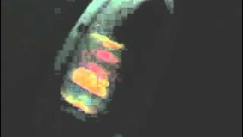 12vdb.com - car audio database: Memphis Car Audio Mojo15.6