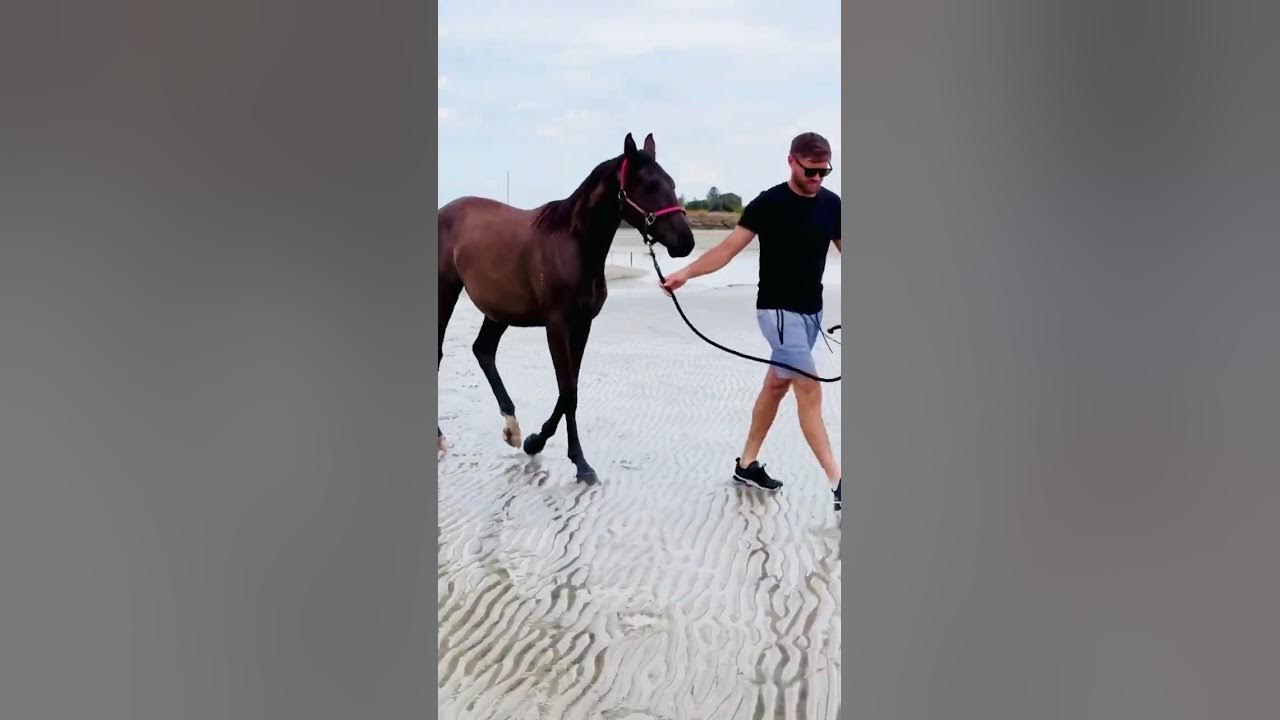 Olympus Erebus has fun at the beach. YouTube