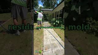 The Second Pollen Wave Most Raleigh Homeowners Miss Green Eagle Pressure Washing LLC