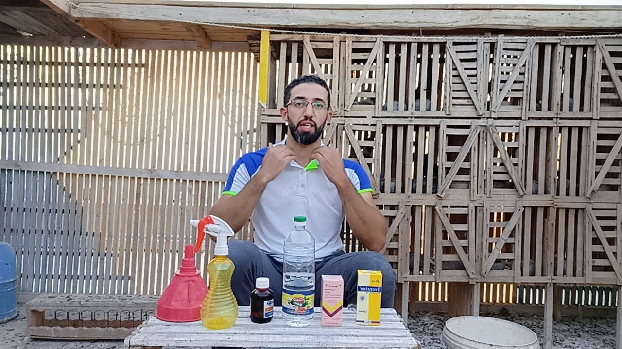 التركيبه السحريه للتخلص من ذباب وسوس  الحمام في يوم واحد