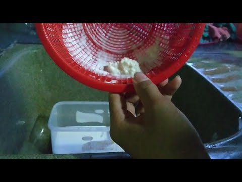Video: Cách Tiêm Hỗn Hợp Sữa Lên Men