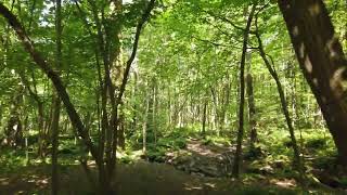 Do software engineers take code review comments personally?