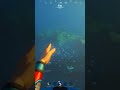 New Species Are 'Outta This World' 😏 | Subnautica 2 | #pc #pcgaming #gaming #subnautica2 #subnautica