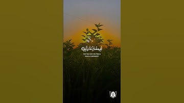 #تلاوة من #سورة_الصف بصوت #علي_آل_عساكر #قران #قرآن_كريم #آيات #استغفرالله #الحمدلله #quran