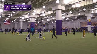 8” & 12” Preferred Jumpers With Weaves | Westminster Kennel Club 2026