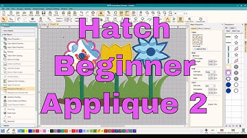 Hatch Embroidery Software Class:Step by Step beginner applique lesson!