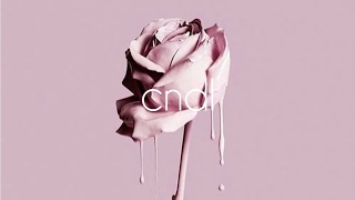 Lauren L'aimant - Therapy