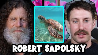 Robert Sapolsky on Turtles and the Illusion of Free Will