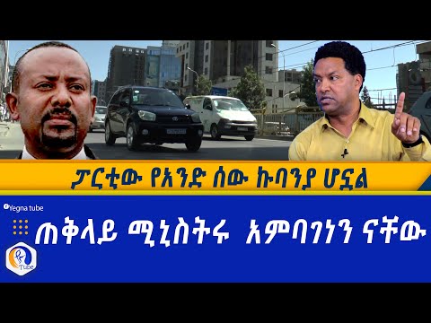 ጠቅላይ ሚኒስትሩ አምባገነን ናቸው | ፓርቲው የአንድ ሰው ኩባንያ ሆኗል | Ethiopia | Party | Niguse Birhanu