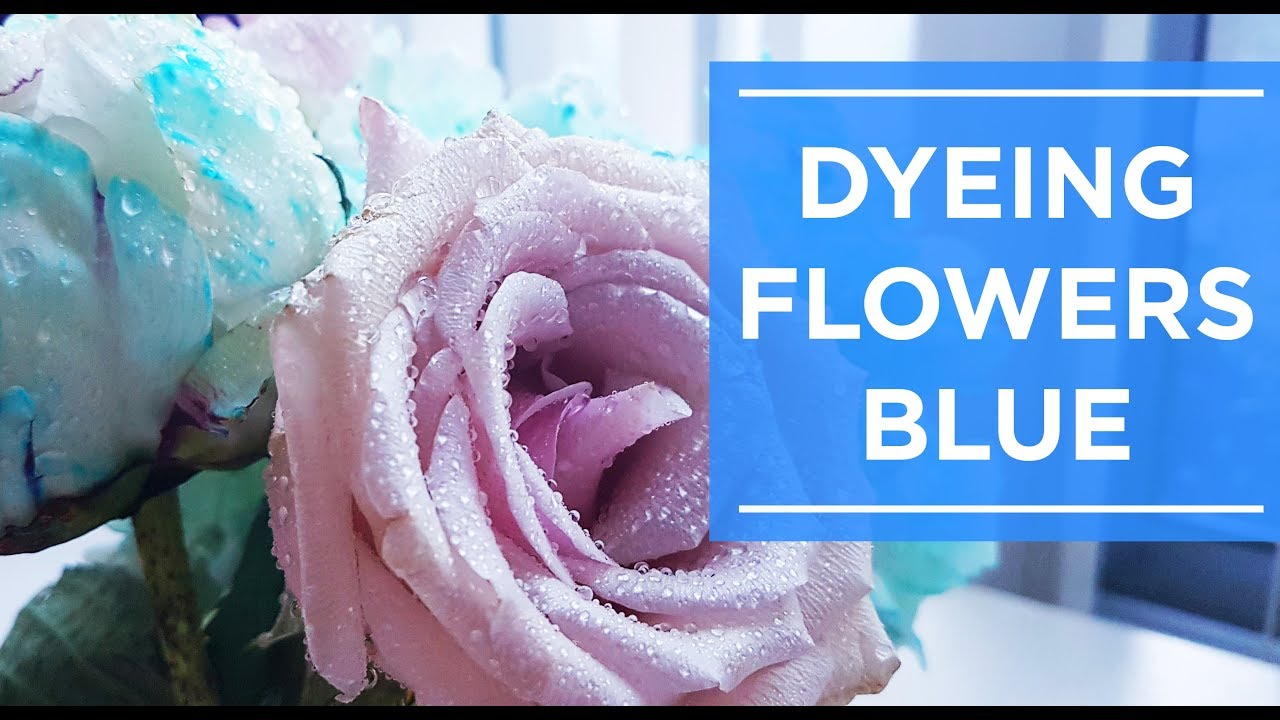 Coloring Flowers Blue - YouTube