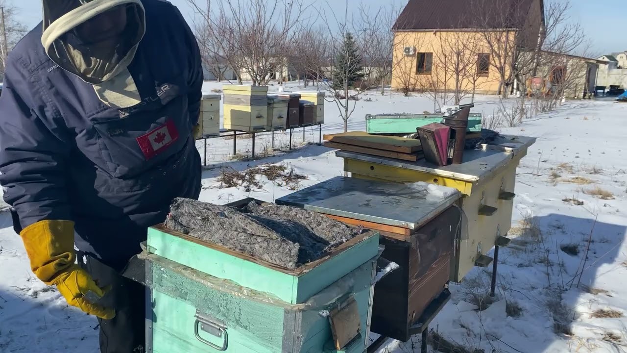 Роботи для раннього старту бджіл, ліземо до вуликів