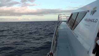 HD Holoholo Charters Napali Coast Sunset Cruise