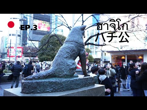 Video: Hachiko: ett monument i Tokyo. Monument till hunden Hachiko i Japan