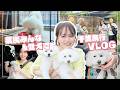 【眼福】家族全員&愛犬で千葉VLOG🚗子供が産まれてから減っていた、愛犬との時間を一番に楽しむ旅！