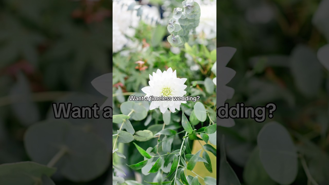 Want a timeless wedding? You can never go wrong with classic white.🤍 