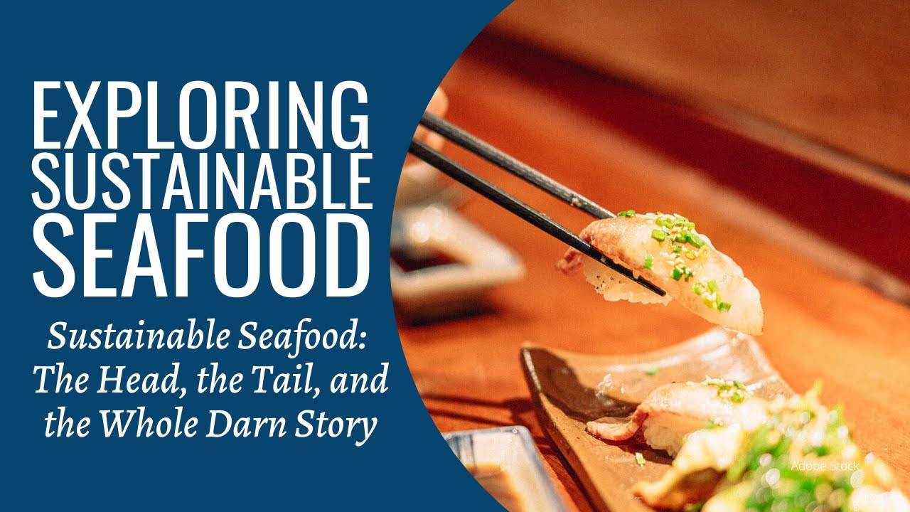Exploring Sustainable Seafood Ep1 Sustainable Seafood The Head, the