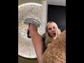 #pov #asmr #dog