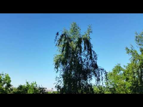 Прогноз 28 05 17 с 2