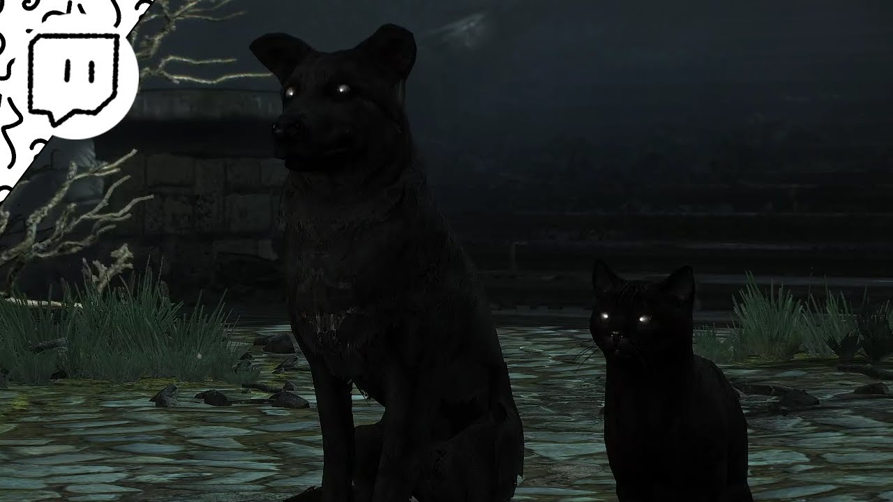 The Witcher 3: Wild Hunt - Heart of Stone | Part 7 (2022 Playthrough)