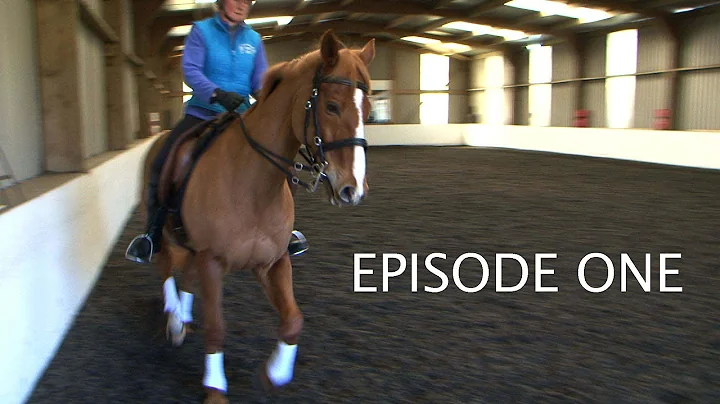 Retraining a racehorse, with Heather Moffett & Kel...