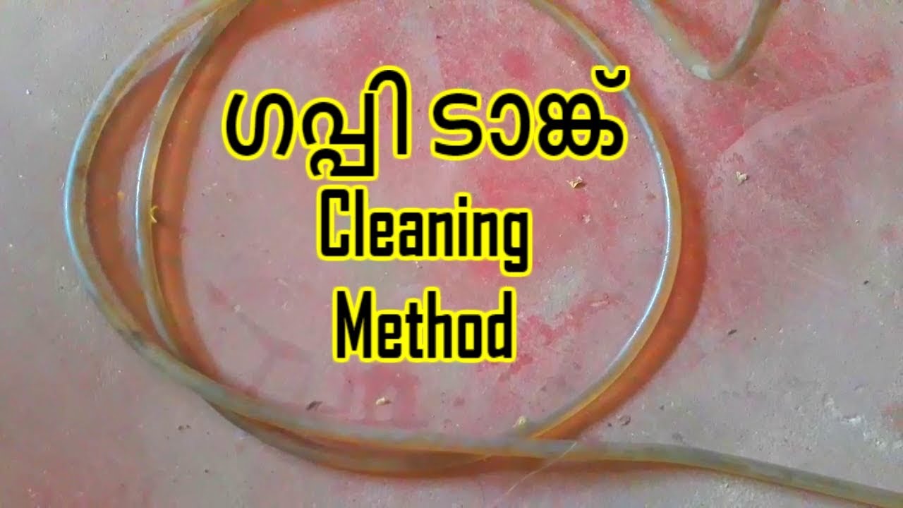 ഗപ്പി ടാങ്ക് Cleaning Method Tips in Malayalam YouTube
