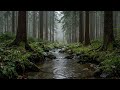 Relaxing Forest River Sounds & Gentle Rain for Deep Sleep