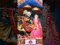 Divine darshan of Sri Sri Radha madhava 🥰 #shotrs #radhamadhav #darshan #viralshorts