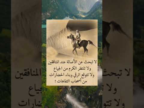 لا تبحث عن الأصالة عند المنافقين حالات واتس حكمة اليوم عبارات   ستوريات خواطر علم النفس