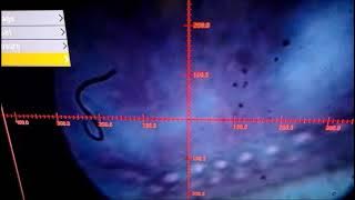 Rife Microscope Part 2: February 23 2021 Monochromator Set Up First Demo