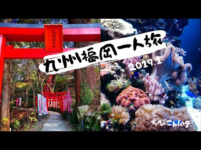 ちびこが行く 九州福岡女一人旅 Youtube