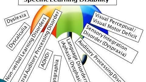 Severe Learning Disability (SLD) and the pathways to eligibility explained